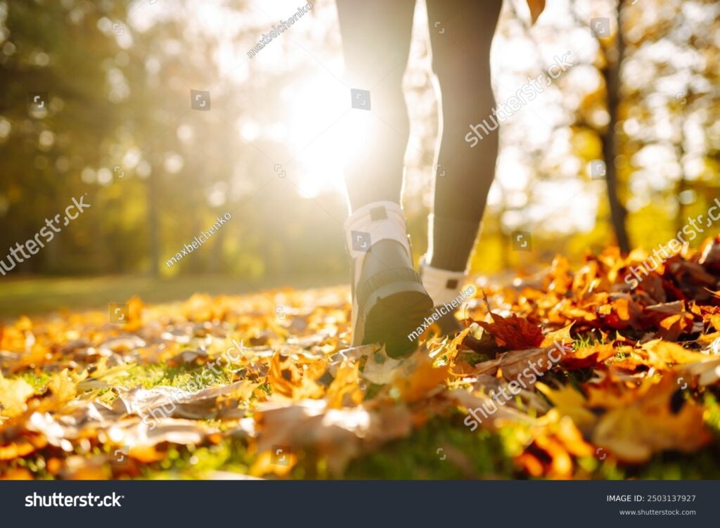 Stock photo close up of female legs in hiking boots walks on ground with yellow orange dry fall leaves during 2503137927