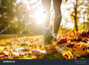 Stock photo close up of female legs in hiking boots walks on ground with yellow orange dry fall leaves during 2503137927