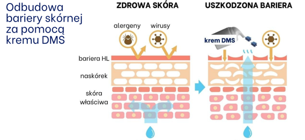 Obraz2
